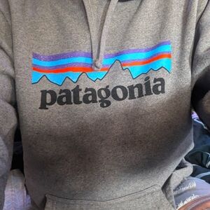 Patagonia P-6 Logo Uprisal Hoody